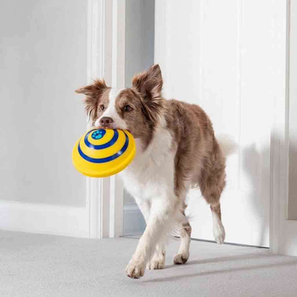 Sounding Disc Woof Glider Soft Toy