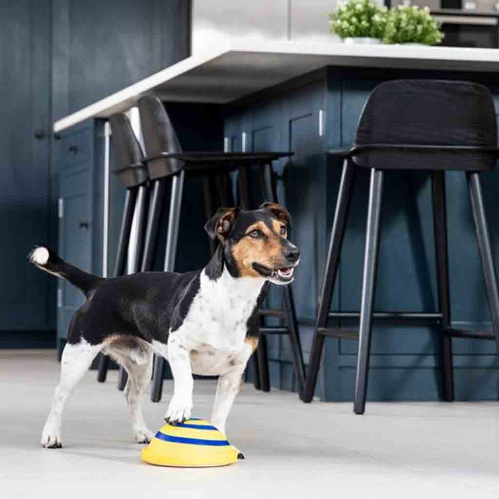 Sounding Disc Woof Glider Soft Toy