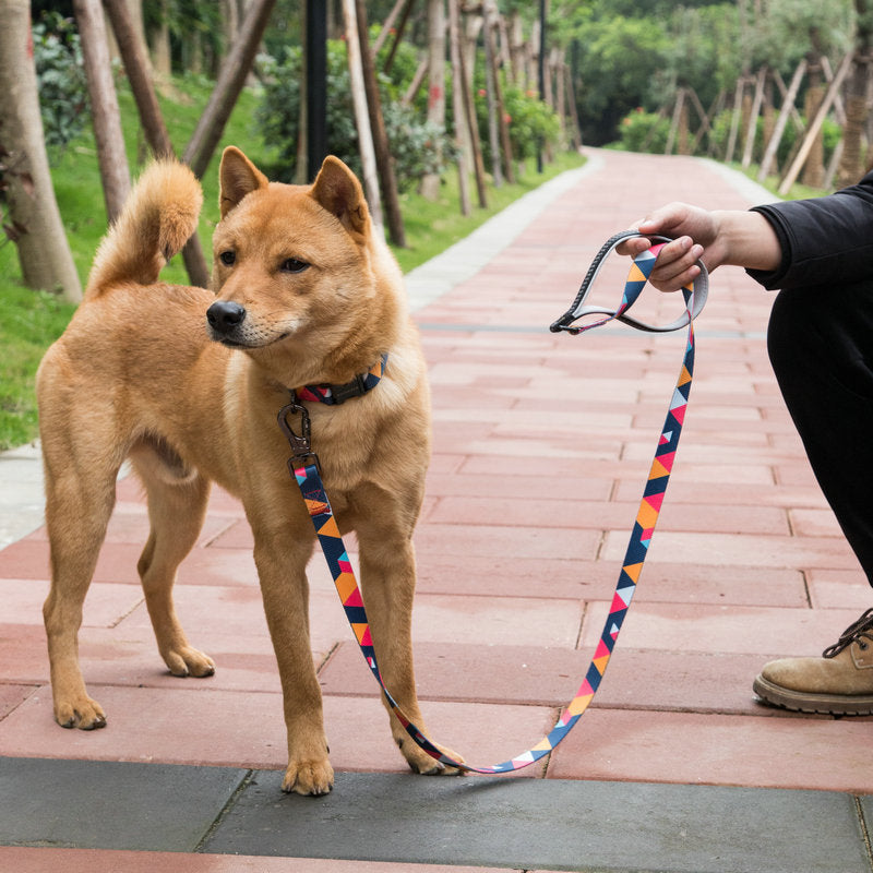 Polyester heat transfer printing leash