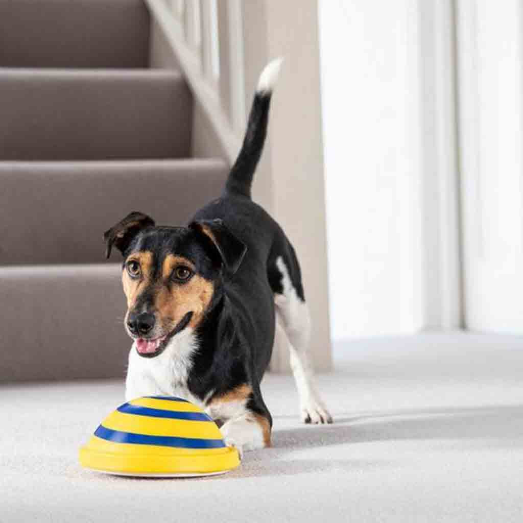 Sounding Disc Woof Glider Soft Toy