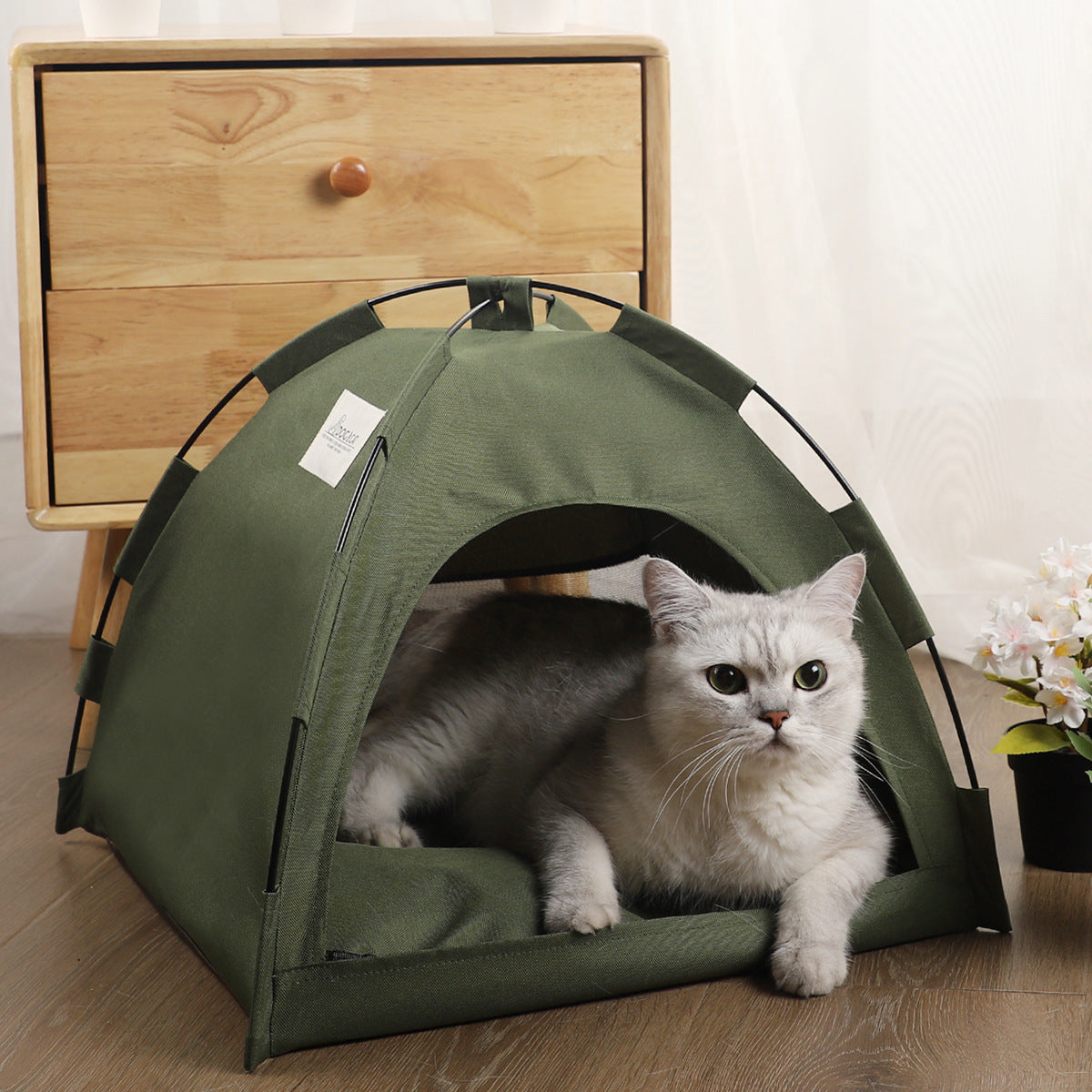 Dog Bed With Cushion