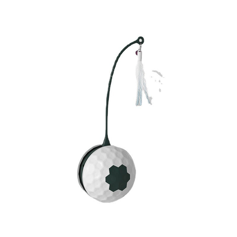 Electric Intelligent Bite Resistant Toy