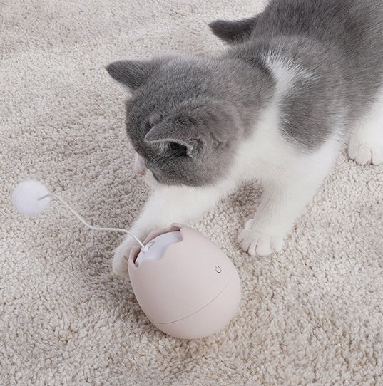 Funny cat artifact cat toy