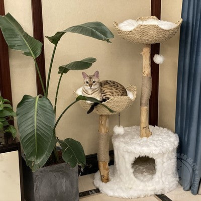 Cat's Grasping Board Integrated Climbing Frame