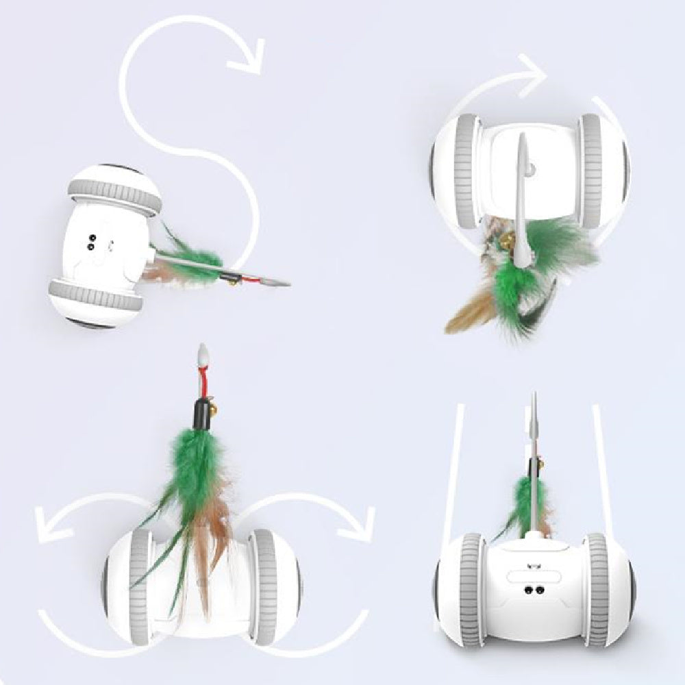 Interactive Cat Toy With Interchangeable Heads