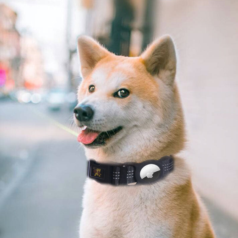 Mobile Phone Tracker Protector Collar